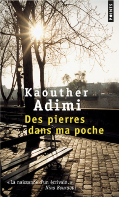 DES PIERRES DANS MA POCHE de ADIMI KAOUTHER