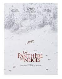 LA PANTHERE DES NEIGES 